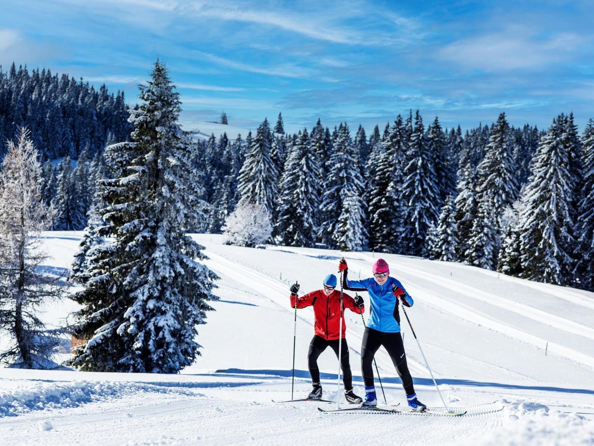 Black Forest Luxury Apartment Baerenhoehle Mit Sauna Schluchsee Exteriör bild